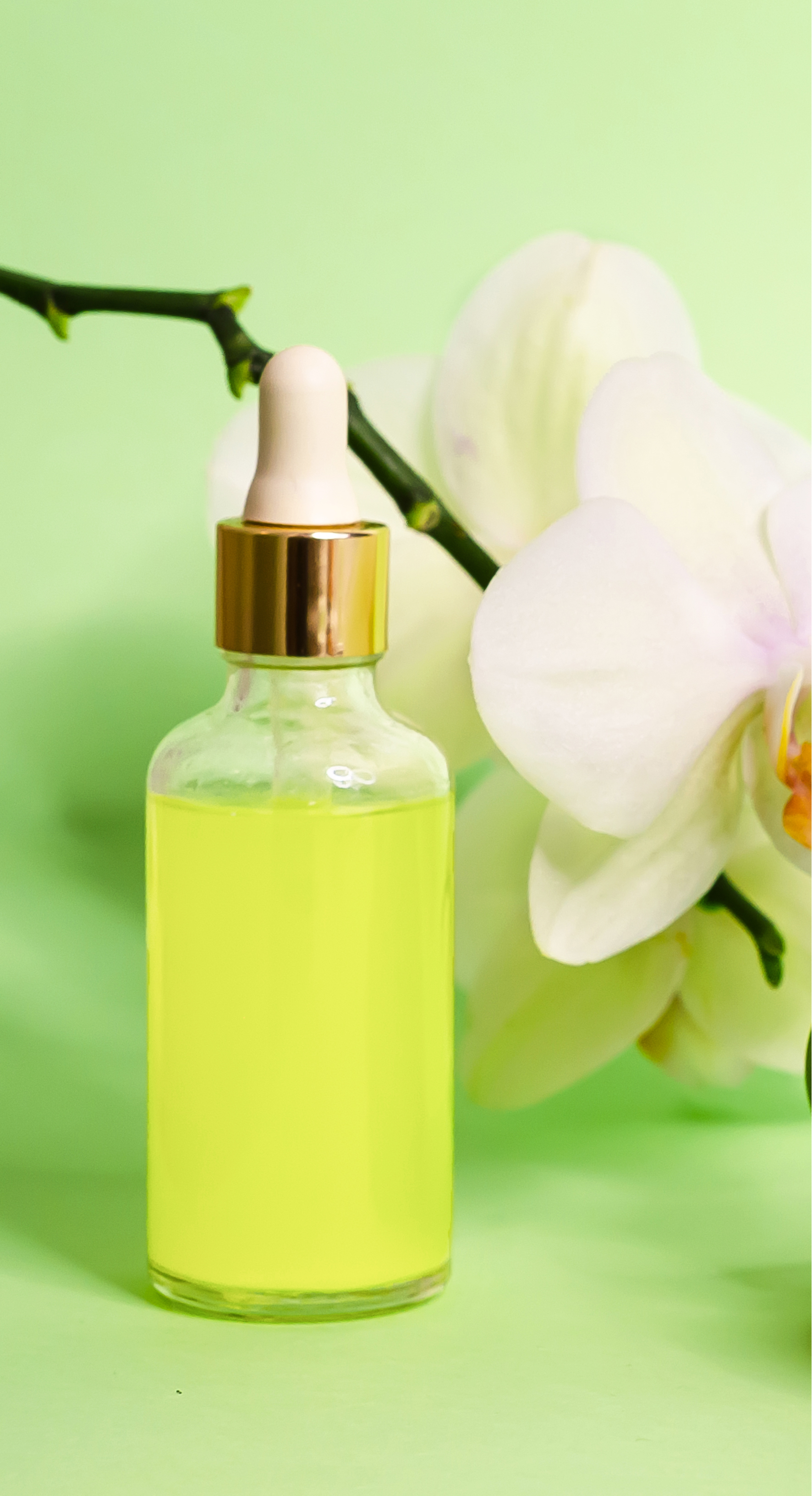 CURSO PRESENCIAL COSMETICA NATURAL APíCOLA