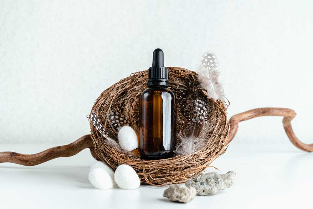 DESARROLLO DE MARCAS COSMÉTICAS ISP Y PRODUCTOS REGISTRO