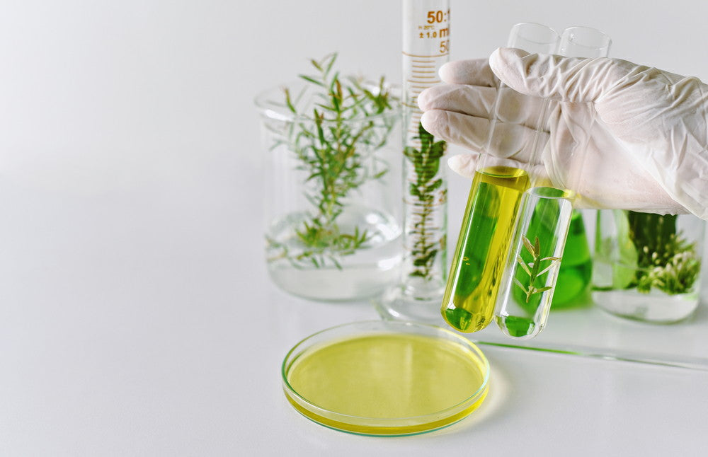 CURSO EXTRACTO DE PLANTAS EN COSMETICA NATURAL