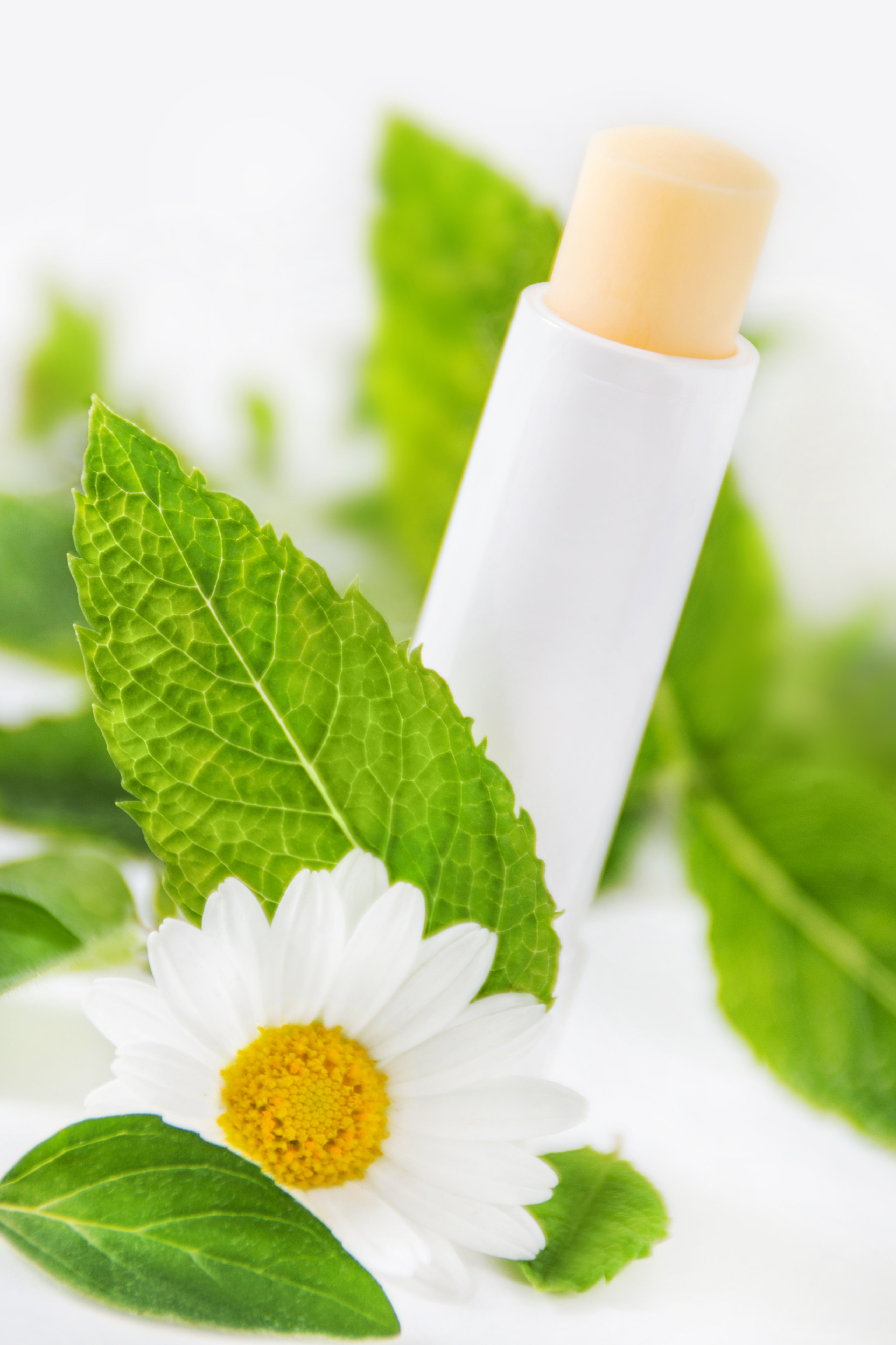 CURSO PRESENCIAL DE CREMAS NATURALES Y FORMAS COSMÉTICAS